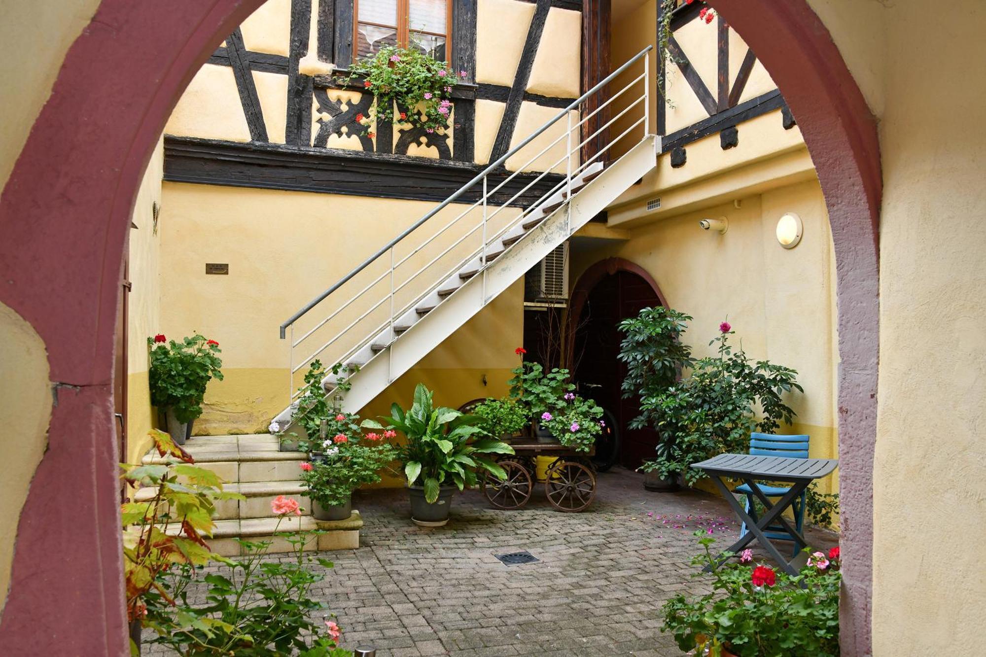 Appartamento Au Nid d'Hirondelles Ribeauvillé Esterno foto