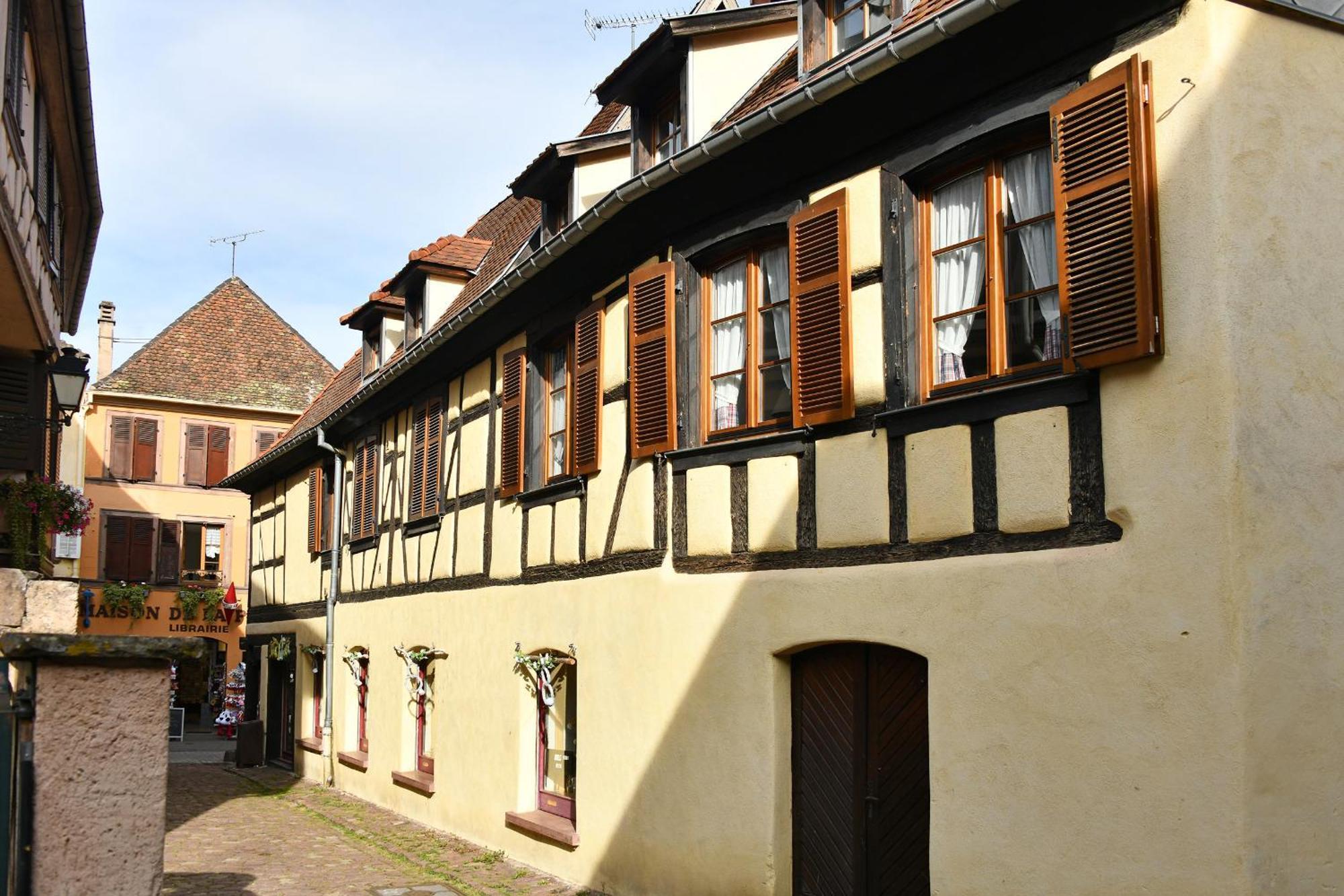Appartamento Au Nid d'Hirondelles Ribeauvillé Esterno foto