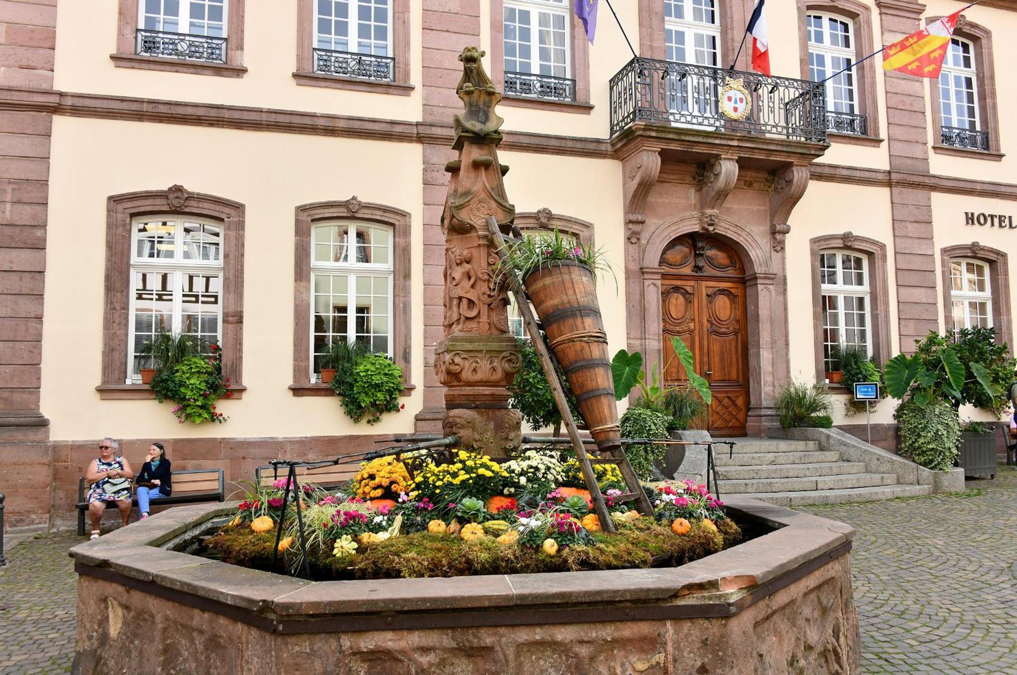 Appartamento Au Nid d'Hirondelles Ribeauvillé Esterno foto