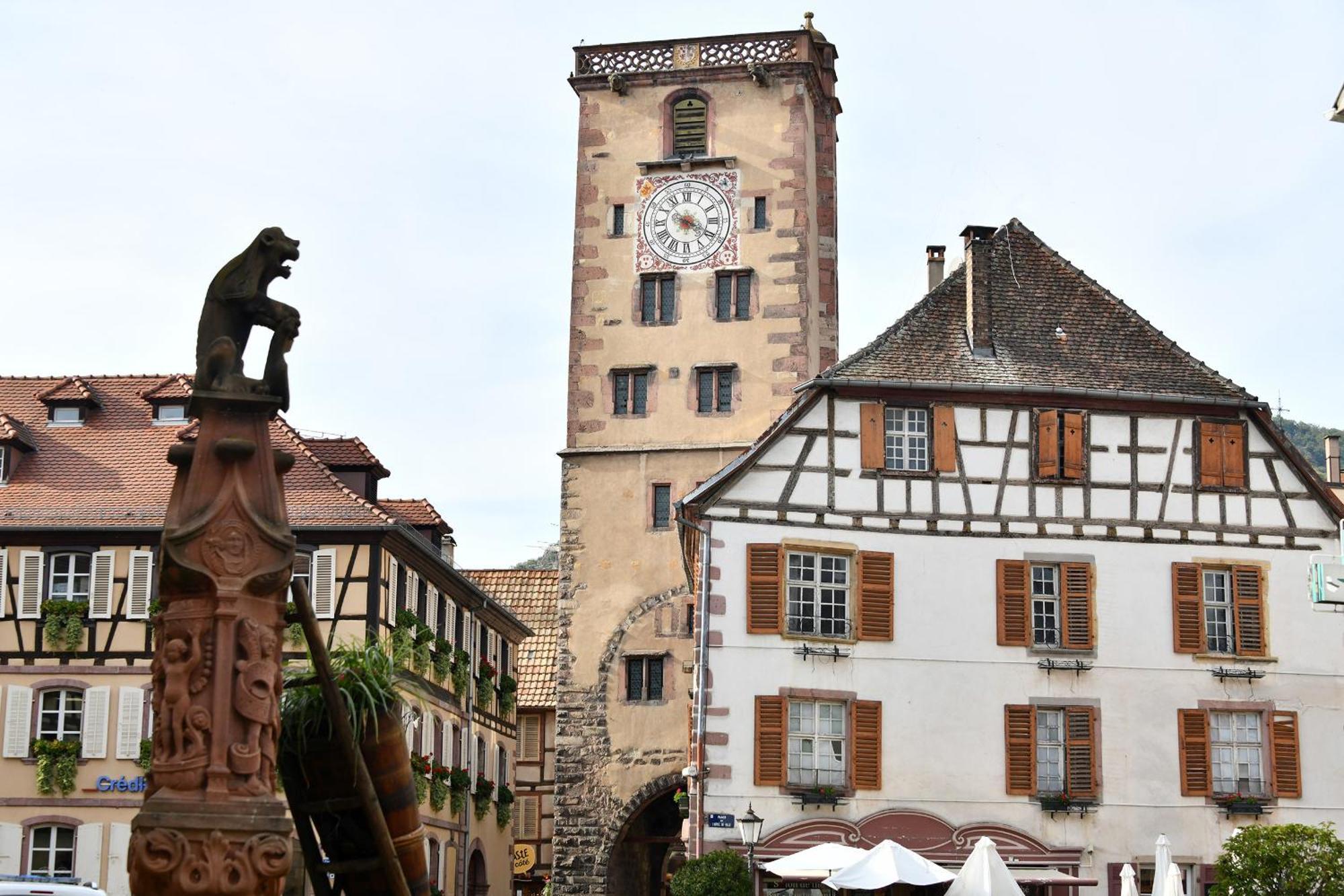 Appartamento Au Nid d'Hirondelles Ribeauvillé Esterno foto