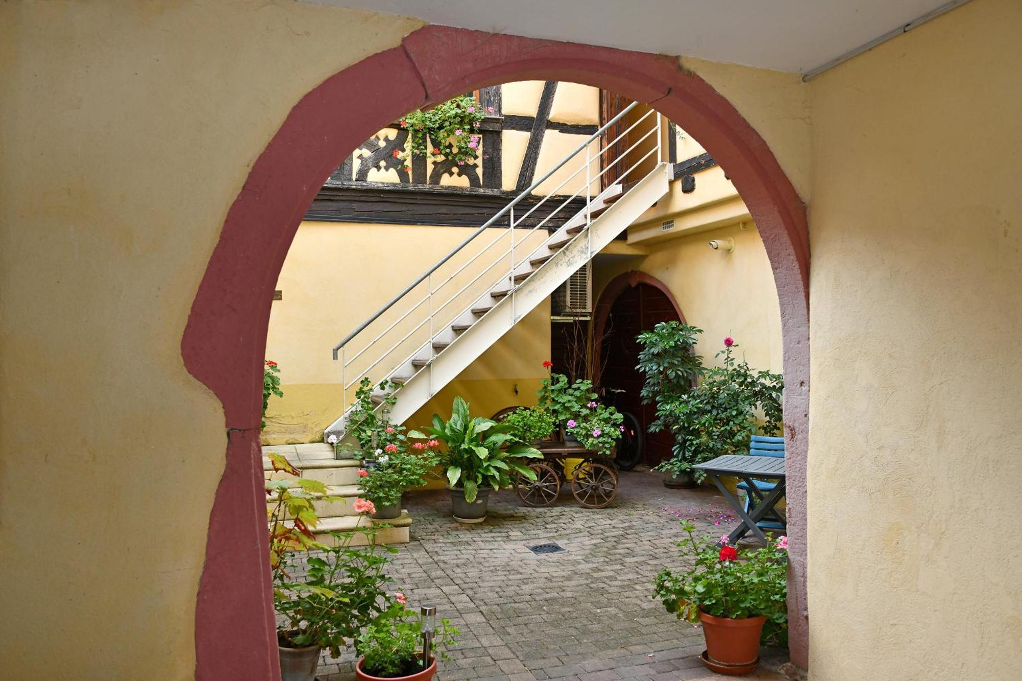 Appartamento Au Nid d'Hirondelles Ribeauvillé Esterno foto